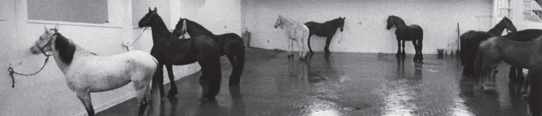 LIVING ARCHIVES. PRATICHE DI RIALLESTIMENTO ARCHIVIO KOUNELLIS