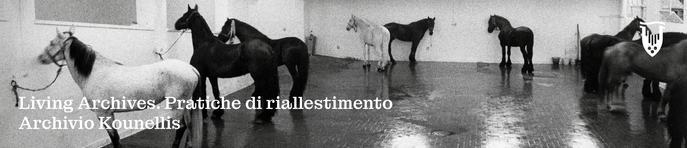 LIVING ARCHIVES. PRATICHE DI RIALLESTIMENTO. ARCHIVIO KOUNELLIS