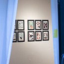 _DSC0926.JPG